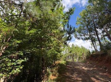 Terreno / Lote · 200m² · Terreno en Poblado Los Manantiales, Pueblo Nuevo Solistahuacán