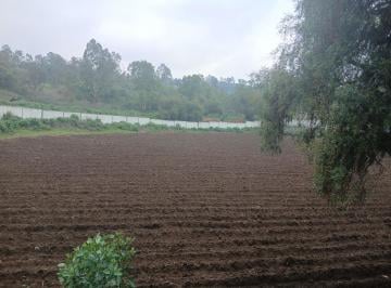 Terreno / Lote , Temamatla · Terreno Campestre en Venta – 500 m²