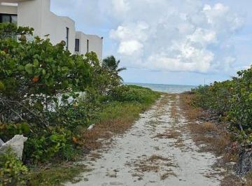 Terreno / Lote · 485m² · Venta de Terreno en La Playa de San Benito, Dzemul, Yucatán - (4)