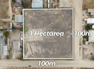 Terreno / Lote · 10000m² · Terreno Industrial en Venta, El Sauzal, Ensenada, Baja California