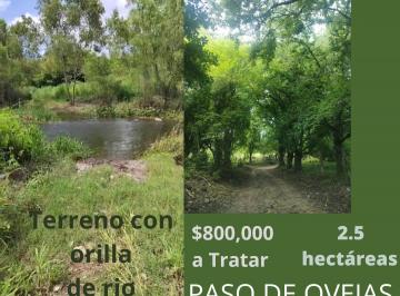 Terreno / Lote · 25000000m² · Terreno en Venta Paso de Ovejas Orilla de Rio