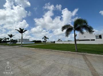 Terreno / Lote · 300m² · Terreno en Venta en El Fraccionamiento Río del Dorado