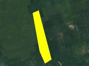eeefe56c3d387dc19ce6fe73d0150f3828e133aa13f66d8a5342ca29754f86d1 · Terreno Rustico en Baca Yucatán