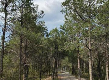 Terreno / Lote , Arteaga · Lotes Campestres en Arteaga