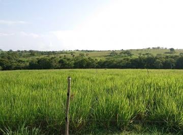 Villa · 630000m² · Rancho en Venta Ejido Palihuiche, Ozuluama, Veracruz.