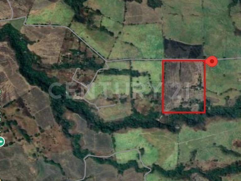 11 Ha for Sale in Cuauhtémoc.