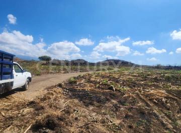 Terreno / Lote · 157571m² · 15 Ha en Venta en Cuauhtemoc
