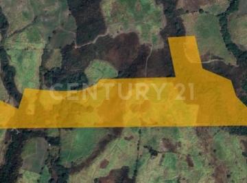Terreno / Lote · 157571m² · 15 Ha en Venta en Cuauhtemoc