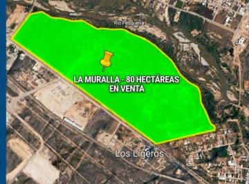 Terreno / Lote , Carmen · Venta 80 Ha El Carmen Nl/1.4 Km Frente Carr Mty - Monclova - Trato Directo