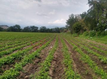 N/A · Propiedad en [venta] - Av Emiliano Zapata, La Nopalera, 62737 Yautepec, Mor, México