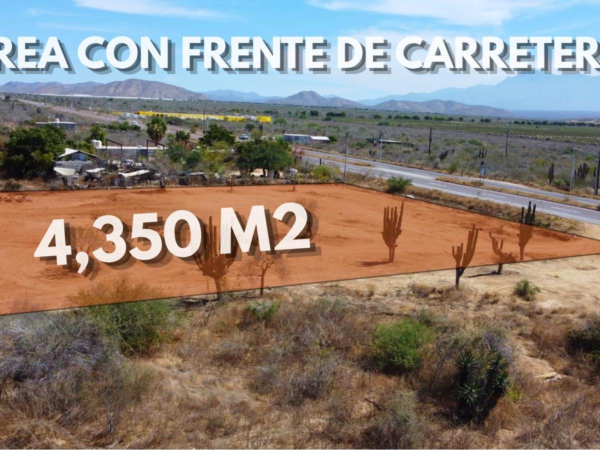 Land for Rent on Todos Santos–La Paz Highway, Baja California Sur