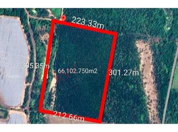 N/A · Propiedad en [venta] - Calle Ignacio Zaragoza, El Walamo, 82206 Mazatlán, Sin, México