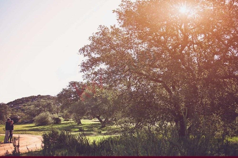 Se Vende Terreno en Tecate Rancho Banchetti 2500 m&sup2; Zona Privada Todos Los Servicios