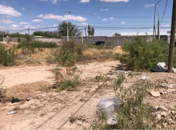 N/A · Propiedad en Renta - Calle Árbol de Frambueso 20502, Fraccionamiento Quintas Montecarlo, 31183 Chihu