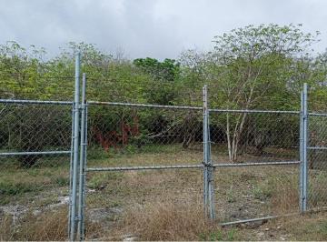 N/A · Propiedad en [venta] - Calle José Luis Lozano, Ejido El Calvario, 67473 Cadereyta Jiménez, Nl, Méxic