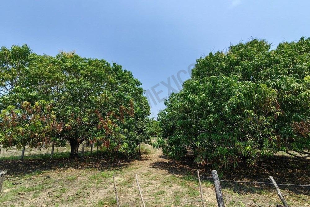 Property for Sale - Hielos Guizar, Tonalá - Puerto Arista, Ejido Puerto Arista, 30507 Tonalá, Chis, m