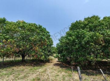N/A · Propiedad en Venta - Hielos Guizar, Tonalá - Puerto Arista, Ejido Puerto Arista, 30507 Tonalá, Chis, m