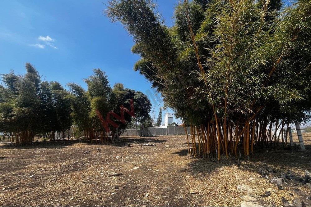 Propiedad en Venta - Venta de Desayunos, 3ra Prolongación Norte, Barrio San Bernabé, 29140 Ocozocoau
