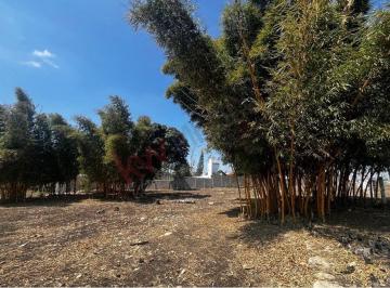 N/A · Propiedad en Venta - Venta de Desayunos, 3ra Prolongación Norte, Barrio San Bernabé, 29140 Ocozocoau