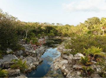 N/A · Propiedad en [venta] - Centro Comunitario Otoch Paal Montessori, Akumal, 77776 Tulum, Qroo, México