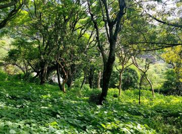 N/A · Terreno en Venta en Malinalco