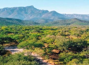 1 · Pre - Venta. Lotes de Terrenos Campestres Carretera Montemorelos