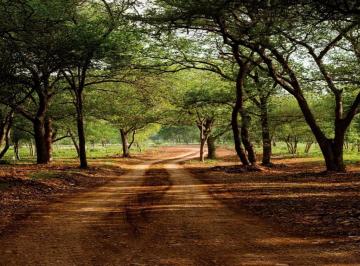1 · Terrenos Campestres en Pre - Venta Carretera Montemorelos