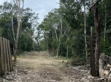 Terreno / Lote , Tulum · Terreno de 644 m² a 20 Minutos de Tulum Quintana Roo