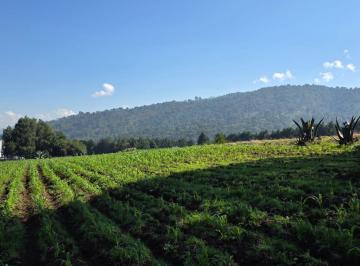 Terreno / Lote · 8000m² · Terreno en Lerma de Villada Centro