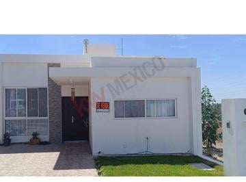 N/A · Propiedad en Venta - Carretera Obrajuelo - Punta del Obrajuelo, Obrajuelo, Apaseo El Grande, Gto, Méxi
