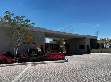 N/A · Propiedad en Renta - Calle Camelinas, Fraccionamiento Jurica, Querétaro, Qro, México