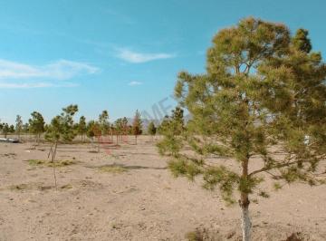 N/A · Propiedad en Venta - Calle Abedules 12100, Granjas Santa Elena, 32674 Juárez, Chih, México