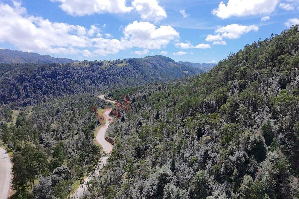 20 Hectares in Acaxochitlán, Hidalgo