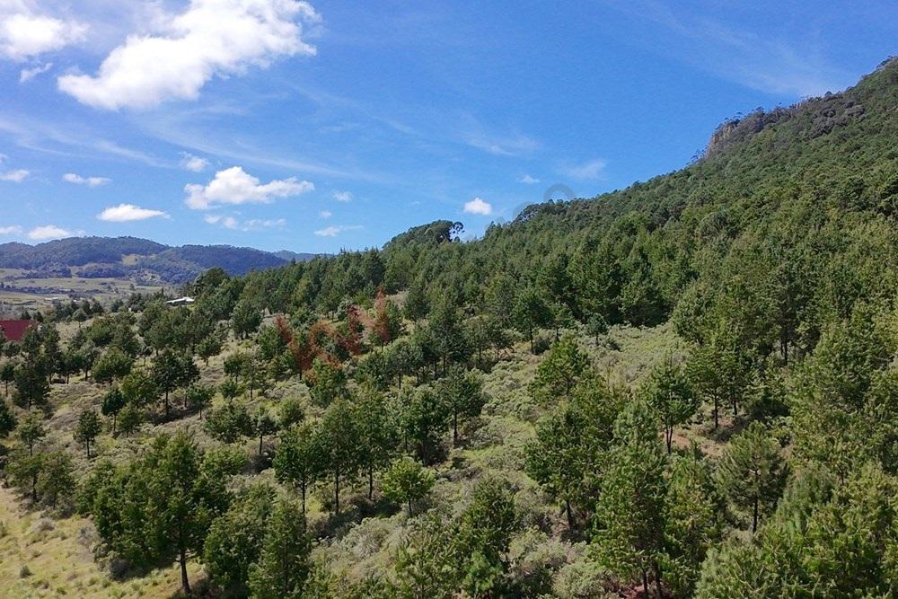 Sale of a 250,000 m&sup2; Plot in Acaxochitlán