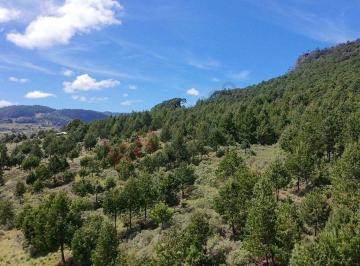 N/A · Venta de Terreno de 250,000 m² en Acaxochitlán