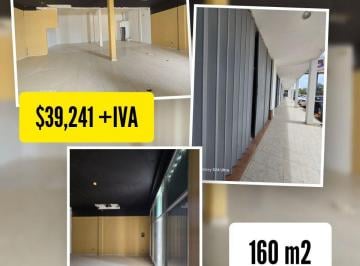 Local comercial , Benito Juárez · Local en Renta Sobre Av Colosio en Cancun
