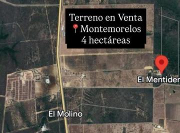 Terreno / Lote · 40000ha · Terreno en Venta en Montemorelos, N. L.