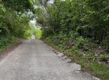 ec31711efe62b75e76a2355544d226bcff3331eec1bde65e9c53f45176391aa8 · Terreno Sobre Carretera Tinum Yucatan 6.8ha Propiedad Privada