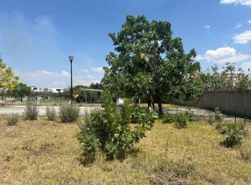 Terreno / Lote , Tlajomulco de Zúñiga · Terreno en Venta en Habitat San Millán, Santa Anita