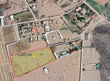 Terreno comercial · 6666ha · Terreno en Venta en Juarez, Lerdo, Dgo.