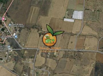 Terreno / Lote , Juanacatlán · Terreno Plano de 1 Hectárea en Juanacatlan, Salto