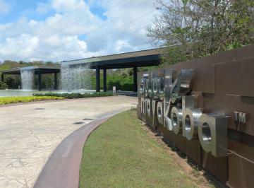 Departamento de 3 habitaciones, Solidaridad · Departamento de 94 m² con 3 Recámaras en Renta en Jardines de Ciudad Mayakoba