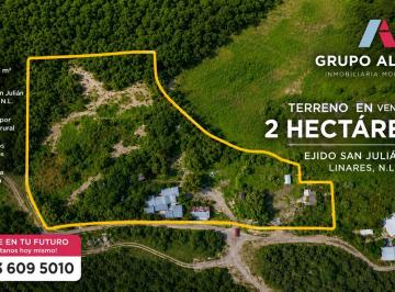 Rancho · 10000m² · Rancho - Linares