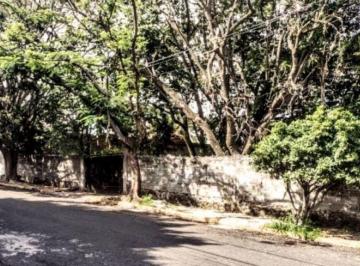 Terreno / Lote , Cuernavaca · Terreno Acacias Tlaltenango