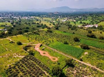 Terreno / Lote · 7770m² · Terreno en Venta, San Martín de Las Pirámides, Teotihuacán