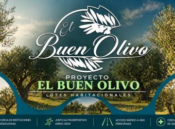 Terreno / Lote · 153m² · Terreno Residencial en El Buen Olivo, Lerdo Durango.