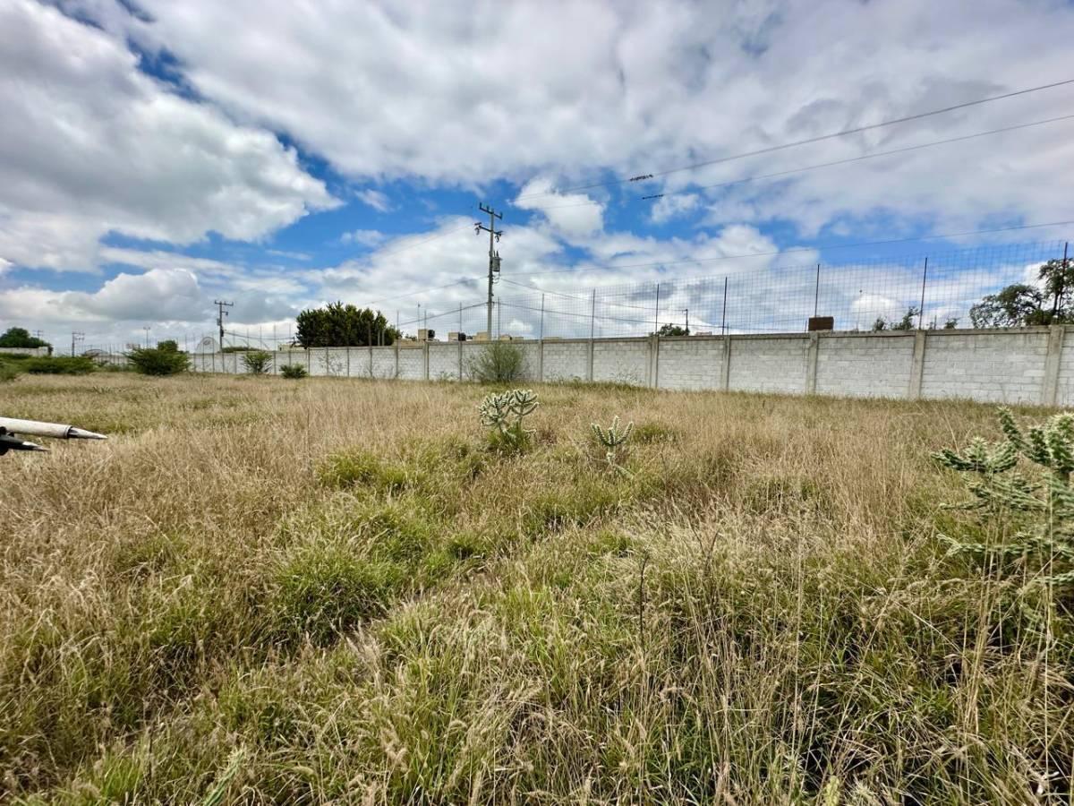 Land for Rent in Actopan, Hidalgo