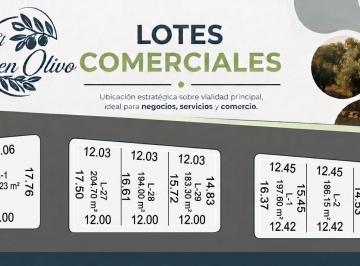 Terreno / Lote · 179m² · Terreno Comercial en Venta en El Buen Olivo, Lerdo Durango