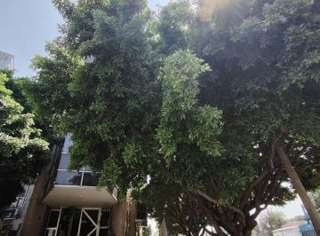 Oficina , Guadalajara · Oficina en Renta en Conimex Piso 9