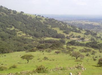 Terreno / Lote , Chapa de Mota · Terreno de 155 Hectáreas en La Zona Norte del Estado de México
